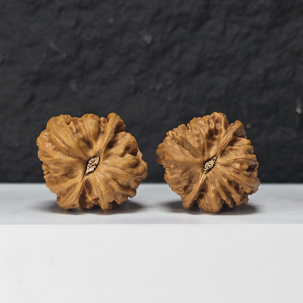 "Nine Dragons Valley Lion Head" Jiu Long Gu Collector Wenwan Walnuts Pair | 37.0mm x 38.0mm | JLG-S-002966