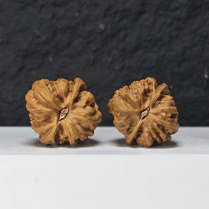 "Nine Dragons Valley Lion Head" Jiu Long Gu Collector Wenwan Walnuts Pair | 37.0mm x 38.0mm | JLG-S-002966
