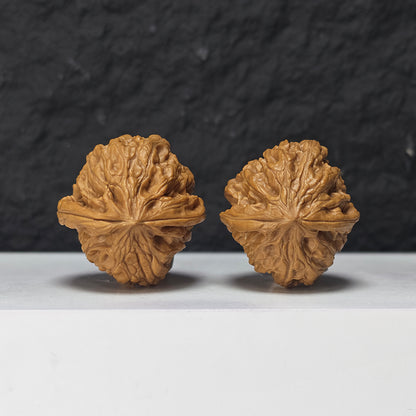 "Nine Dragons Valley Lion Head" Jiu Long Gu Collector Wenwan Walnuts Pair | 37.0mm x 38.0mm | JLG-S-002966