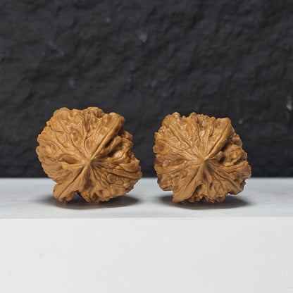 "Nine Dragons Valley Lion Head" Jiu Long Gu Collector Wenwan Walnuts Pair | 37.0mm x 38.0mm | JLG-S-002966