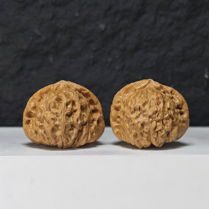 "Little Pumpkin Dun Lion Head" Xiao Nan Gua Dun Collector Wenwan Walnuts Pair | 39.0mm x 39.0mm | SZ-S-044960