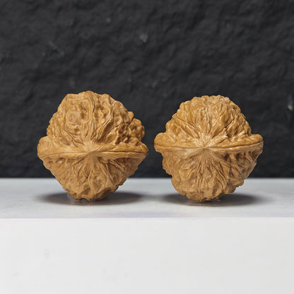 "Little Pumpkin Dun Lion Head" Xiao Nan Gua Dun Collector Wenwan Walnuts Pair | 39.0mm x 39.0mm | SZ-S-044960