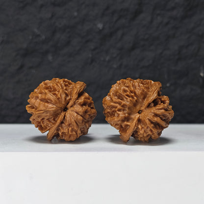 "Gold Ingot Sycee" Jin Ding Yuan Bao Collector Wenwan Walnuts Pair | 35.0mm x 35.0mm | YB-S-001970