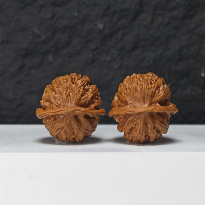 "Gold Ingot Sycee" Jin Ding Yuan Bao Collector Wenwan Walnuts Pair | 35.0mm x 35.0mm | YB-S-001970