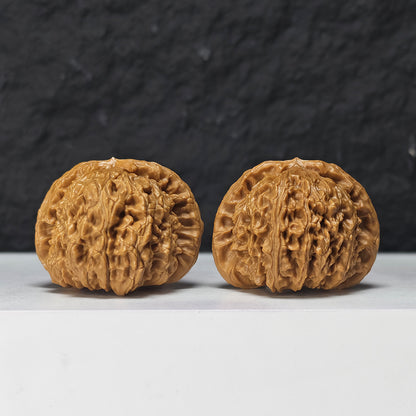 "Spherical White Lion Head" Qiu Xing Bai Shi Zi Collector Wenwan Walnuts Pair | 42.0mm x 42.0mm -> Corrected: 42.0mm x 39.0mm | BSZ-S-019980