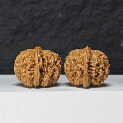 "Spherical White Lion Head" Qiu Xing Bai Shi Zi Collector Wenwan Walnuts Pair | 42.0mm x 42.0mm -> Corrected: 42.0mm x 39.0mm | BSZ-S-019980