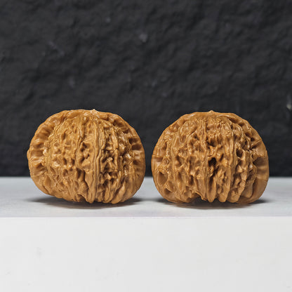"Spherical White Lion Head" Qiu Xing Bai Shi Zi Collector Wenwan Walnuts Pair | 42.0mm x 42.0mm -> Corrected: 42.0mm x 39.0mm | BSZ-S-019980