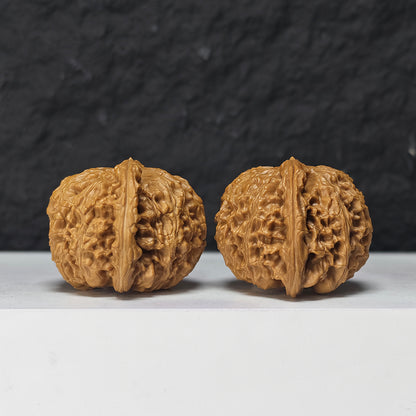 "Spherical White Lion Head" Qiu Xing Bai Shi Zi Collector Wenwan Walnuts Pair | 42.0mm x 42.0mm -> Corrected: 42.0mm x 39.0mm | BSZ-S-019980