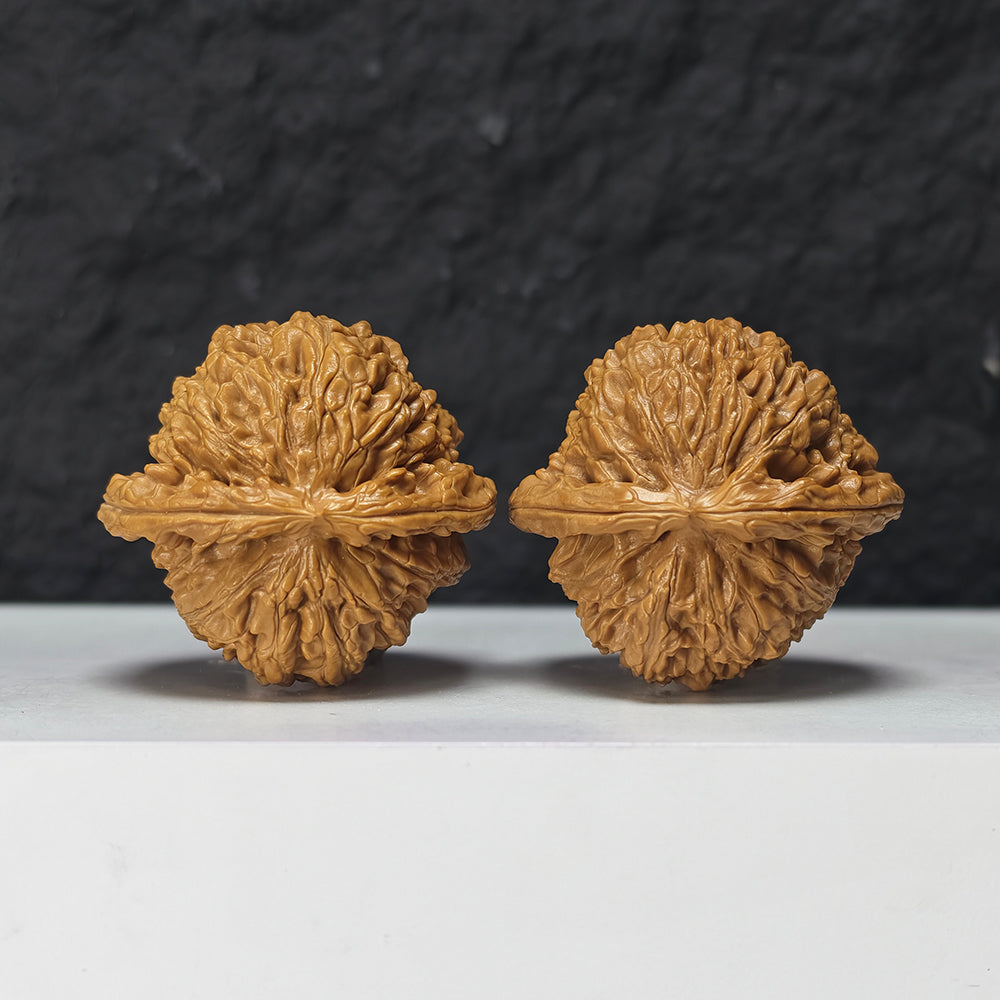 "Spherical White Lion Head" Qiu Xing Bai Shi Zi Collector Wenwan Walnuts Pair | 42.0mm x 42.0mm -> Corrected: 42.0mm x 39.0mm | BSZ-S-019980