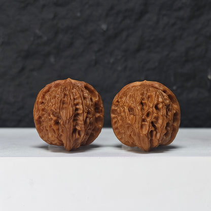 "Miniature Dragon Gall" Xiu Zhen Long Dan Collector Wenwan Walnuts Pair | 34.0mm x 34.0mm | YB-SS-002968