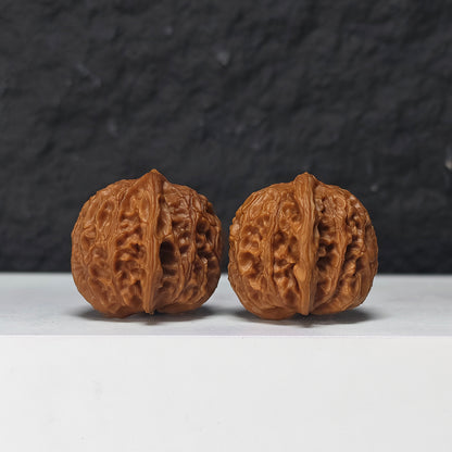 "Miniature Dragon Gall" Xiu Zhen Long Dan Collector Wenwan Walnuts Pair | 34.0mm x 34.0mm | YB-SS-002968