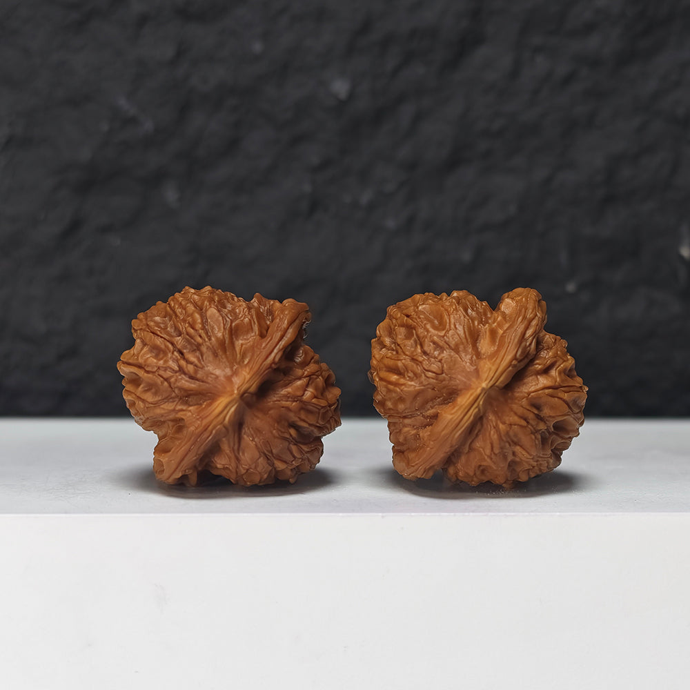 "Miniature Dragon Gall" Xiu Zhen Long Dan Collector Wenwan Walnuts Pair | 34.0mm x 34.0mm | YB-SS-002968