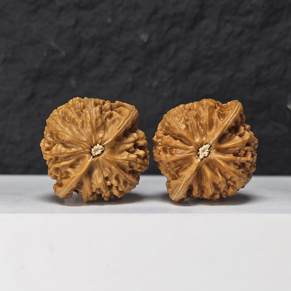 "Palace Lantern Lion Head" Gong Deng Collector Wenwan Walnuts Pair | 42.0mm x 40.0mm | SZ-S-045962