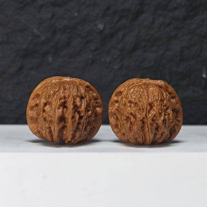 "Blood Qilin Lion Head" Xue Qi Lin Shi Zi Tou Collector Wenwan Walnuts Pair | 38.0mm x 38.0mm | SZ-SS-027973