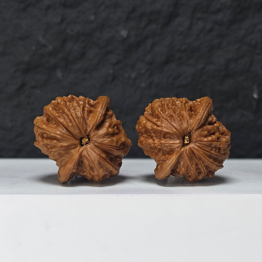 "Blood Qilin Lion Head" Xue Qi Lin Shi Zi Tou Collector Wenwan Walnuts Pair | 38.0mm x 38.0mm | SZ-SS-027973