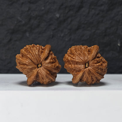 "Blood Qilin Lion Head" Xue Qi Lin Shi Zi Tou Collector Wenwan Walnuts Pair | 38.0mm x 38.0mm | SZ-SS-027973