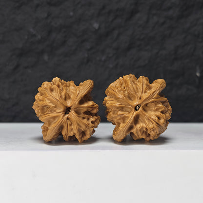 "Shui Quan Gou Scholar Hat" Shui Quan Gou Gong Zi Mao Collector Wenwan Walnuts Pair | 39.0mm x 36.0mm | GZM-S-002969