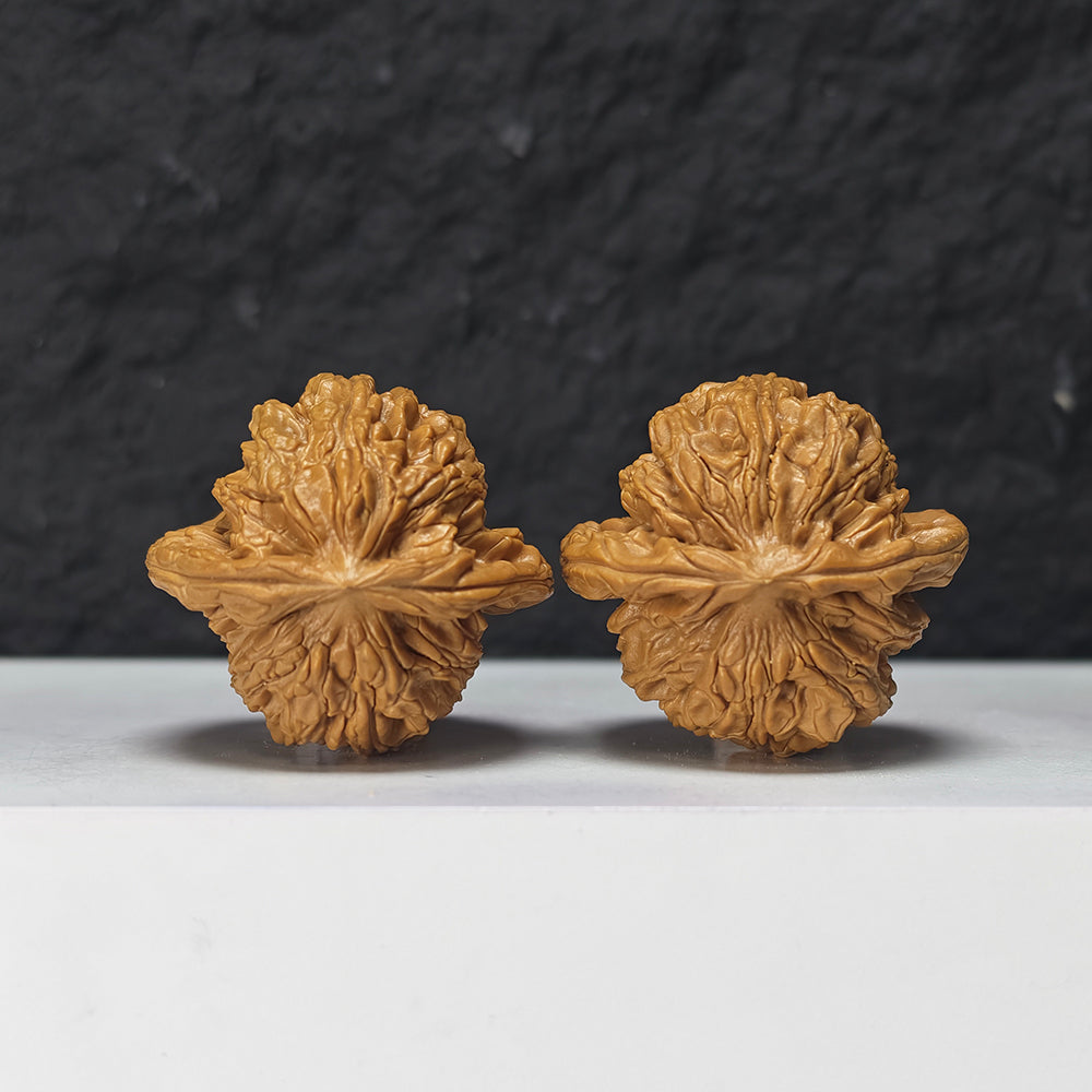 "Shui Quan Gou Scholar Hat" Shui Quan Gou Gong Zi Mao Collector Wenwan Walnuts Pair | 39.0mm x 36.0mm | GZM-S-002969