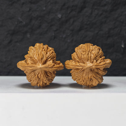 "Shui Quan Gou Scholar Hat" Shui Quan Gou Gong Zi Mao Collector Wenwan Walnuts Pair | 39.0mm x 36.0mm | GZM-S-002969
