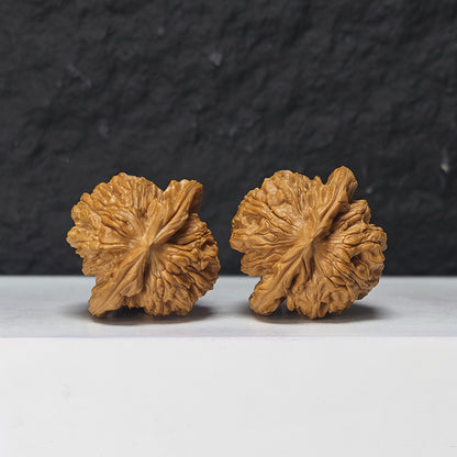 "Shui Quan Gou Scholar Hat" Shui Quan Gou Gong Zi Mao Collector Wenwan Walnuts Pair | 39.0mm x 36.0mm | GZM-S-002969