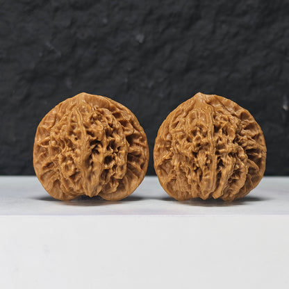 "Coiled Dragon Pattern Lion Head" Pan Long Wen Lion Head Collector Wenwan Walnuts Pair | 41.0mm x 41.0mm -> Corrected: 41.0mm x 35.0mm | SZ-S-046963