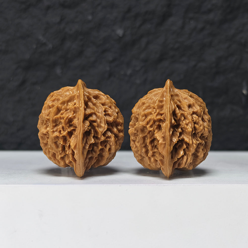 "Coiled Dragon Pattern Lion Head" Pan Long Wen Lion Head Collector Wenwan Walnuts Pair | 41.0mm x 41.0mm -> Corrected: 41.0mm x 35.0mm | SZ-S-046963