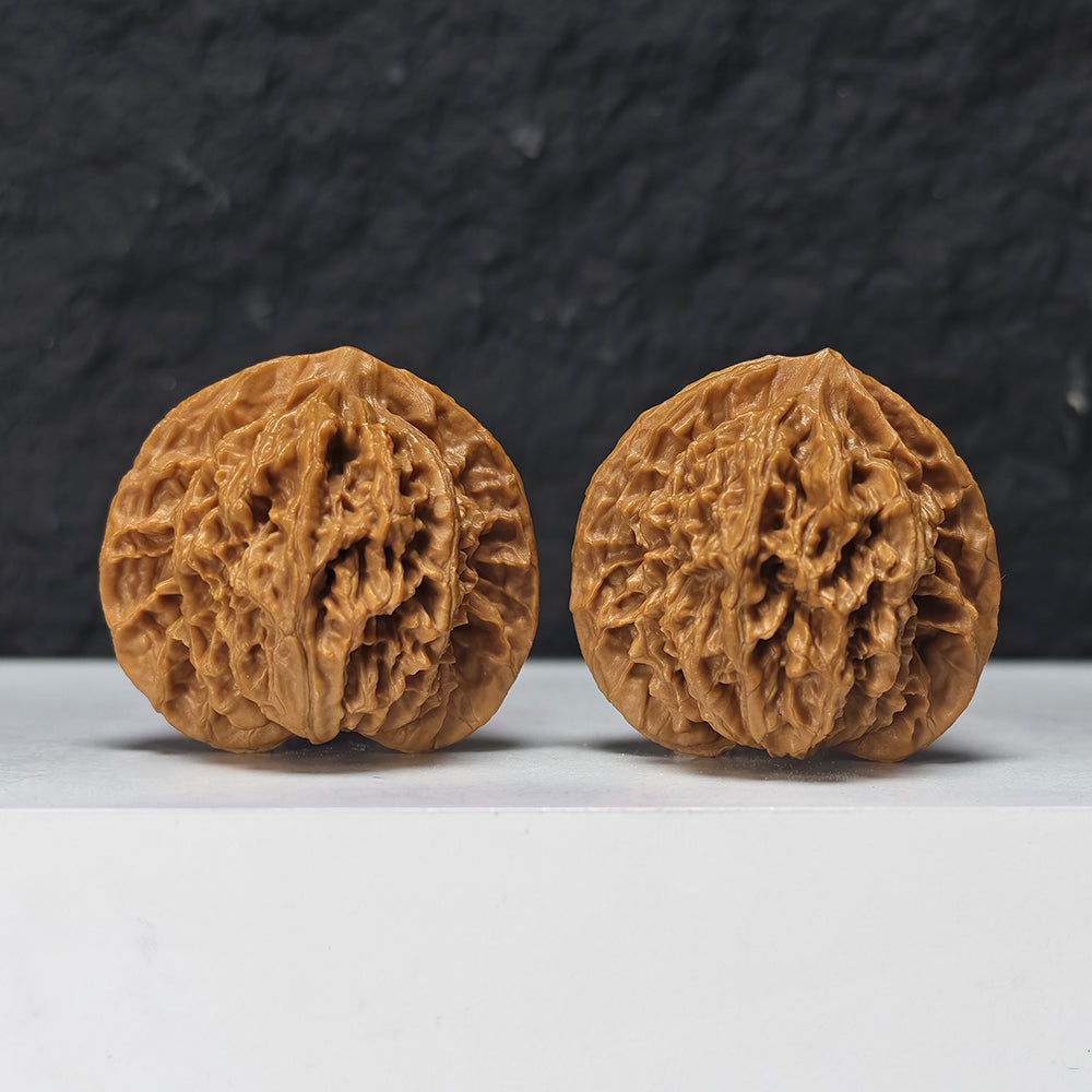 "Coiled Dragon Pattern Lion Head" Pan Long Wen Lion Head Collector Wenwan Walnuts Pair | 41.0mm x 41.0mm -> Corrected: 41.0mm x 35.0mm | SZ-S-046963