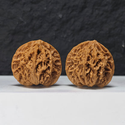 "Coiled Dragon Pattern Lion Head" Pan Long Wen Lion Head Collector Wenwan Walnuts Pair | 41.0mm x 41.0mm -> Corrected: 41.0mm x 35.0mm | SZ-S-046963