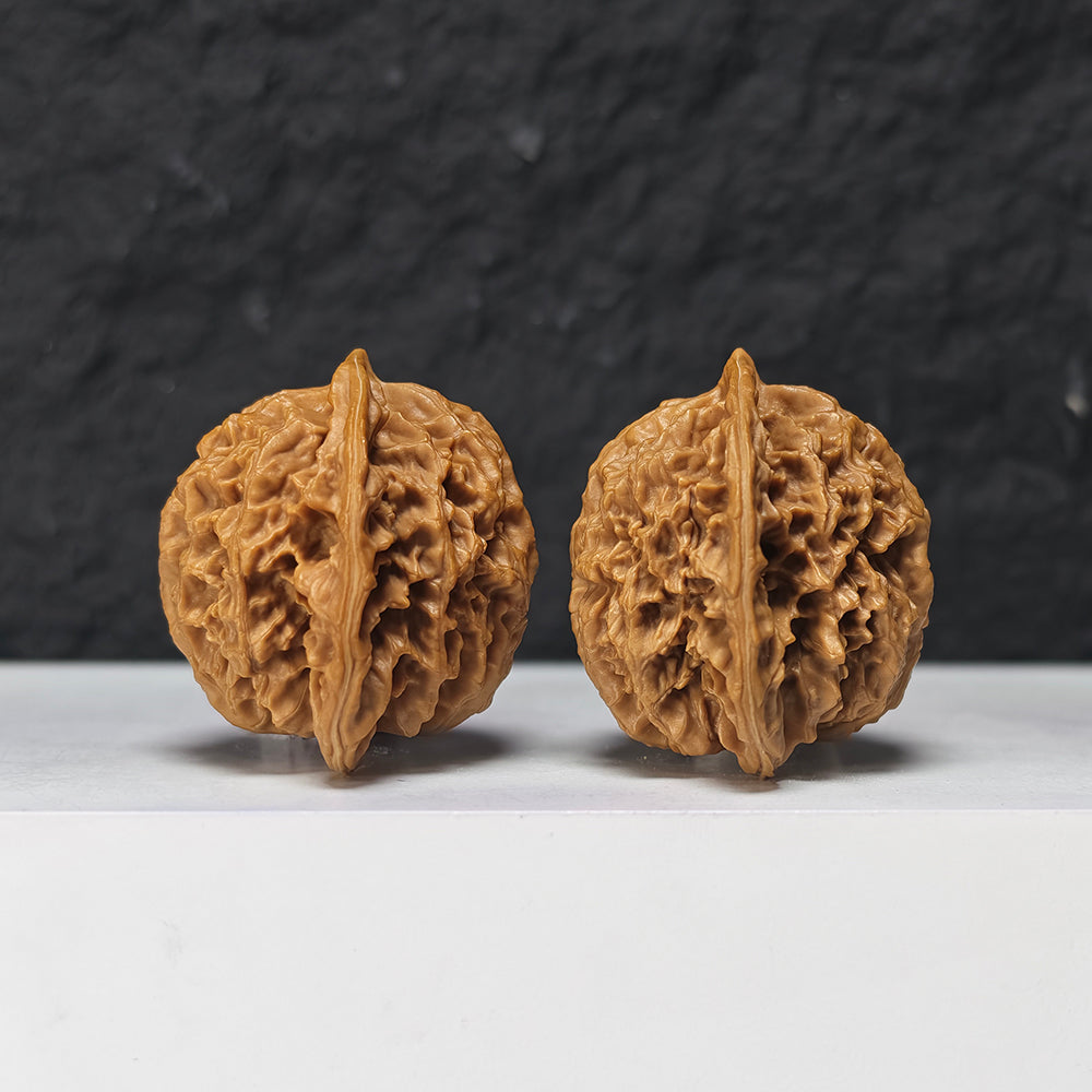 "Coiled Dragon Pattern Lion Head" Pan Long Wen Lion Head Collector Wenwan Walnuts Pair | 41.0mm x 41.0mm -> Corrected: 41.0mm x 35.0mm | SZ-S-046963