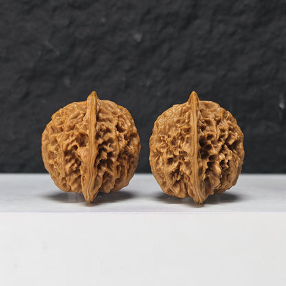 "Coiled Dragon Pattern Lion Head" Pan Long Wen Lion Head Collector Wenwan Walnuts Pair | 41.0mm x 41.0mm -> Corrected: 41.0mm x 35.0mm | SZ-S-046963