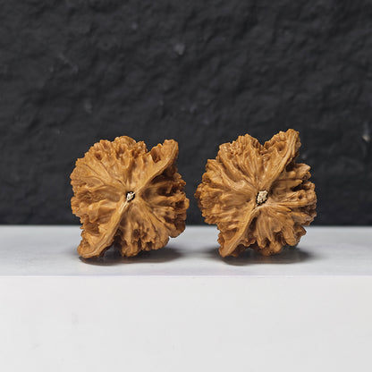 "Coiled Dragon Pattern Lion Head" Pan Long Wen Lion Head Collector Wenwan Walnuts Pair | 41.0mm x 41.0mm -> Corrected: 41.0mm x 35.0mm | SZ-S-046963
