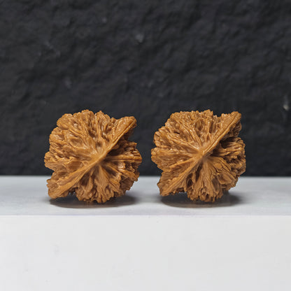 "Coiled Dragon Pattern Lion Head" Pan Long Wen Lion Head Collector Wenwan Walnuts Pair | 41.0mm x 41.0mm -> Corrected: 41.0mm x 35.0mm | SZ-S-046963