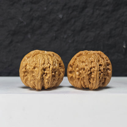 "Recessed Apex Spherical White Lion Head" Men Jian Qiu Xing Bai Shi Zi Collector Wenwan Walnuts Pair | 37.0mm x 38.0mm | BSZ-S-018961