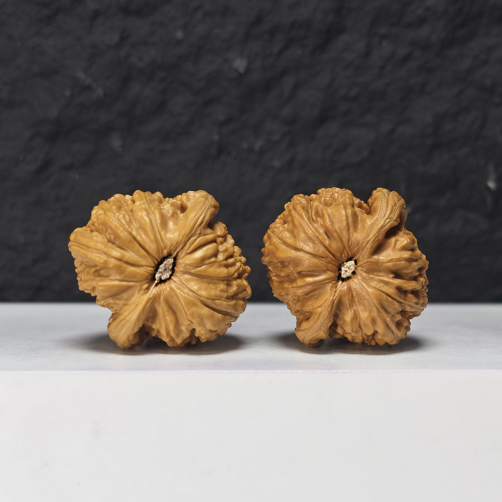 "Recessed Apex Spherical White Lion Head" Men Jian Qiu Xing Bai Shi Zi Collector Wenwan Walnuts Pair | 37.0mm x 38.0mm | BSZ-S-018961