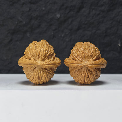 "Recessed Apex Spherical White Lion Head" Men Jian Qiu Xing Bai Shi Zi Collector Wenwan Walnuts Pair | 37.0mm x 38.0mm | BSZ-S-018961