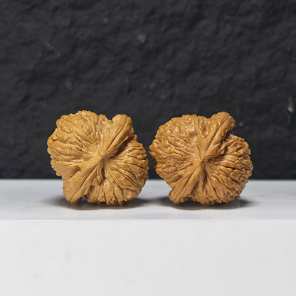 "Recessed Apex Spherical White Lion Head" Men Jian Qiu Xing Bai Shi Zi Collector Wenwan Walnuts Pair | 37.0mm x 38.0mm | BSZ-S-018961