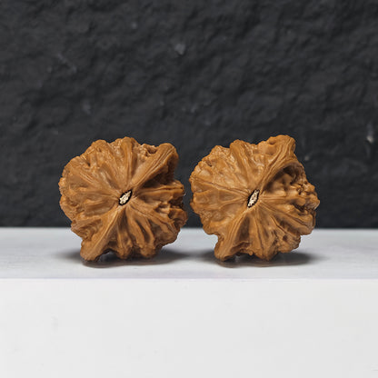 "War Drum Lion Head" Zhan Gu Collector Wenwan Walnuts Pair | 40.0mm x 37.0mm | SZ-SS-030981