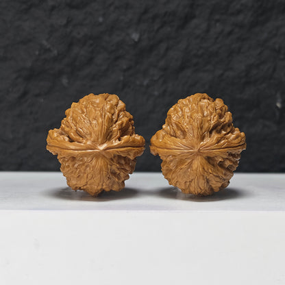 "Ye Ming Zhu Glowing Pearl" Ye Ming Zhu Collector Wenwan Walnuts Pair | 36.0mm x 38.0mm | YMZ-SS-001972