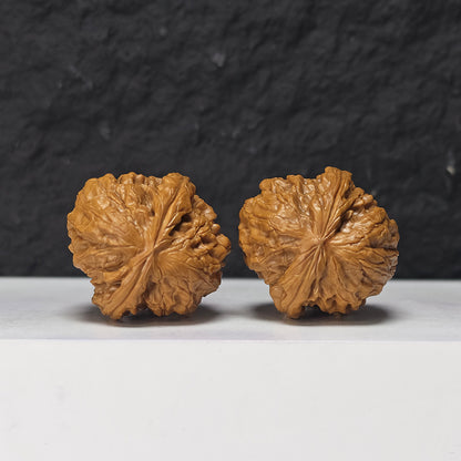 "Ye Ming Zhu Glowing Pearl" Ye Ming Zhu Collector Wenwan Walnuts Pair | 36.0mm x 38.0mm | YMZ-SS-001972