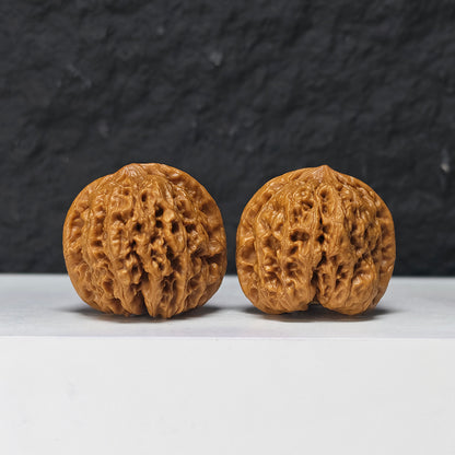"Rain Flower Stone" Yu Hua Shi Collector Wenwan Walnuts Pair | 37.0mm x 37.0mm | YHS-S-002978