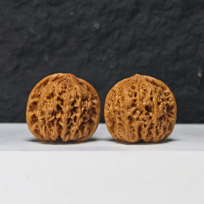 "Rain Flower Stone" Yu Hua Shi Collector Wenwan Walnuts Pair | 37.0mm x 37.0mm | YHS-S-002978