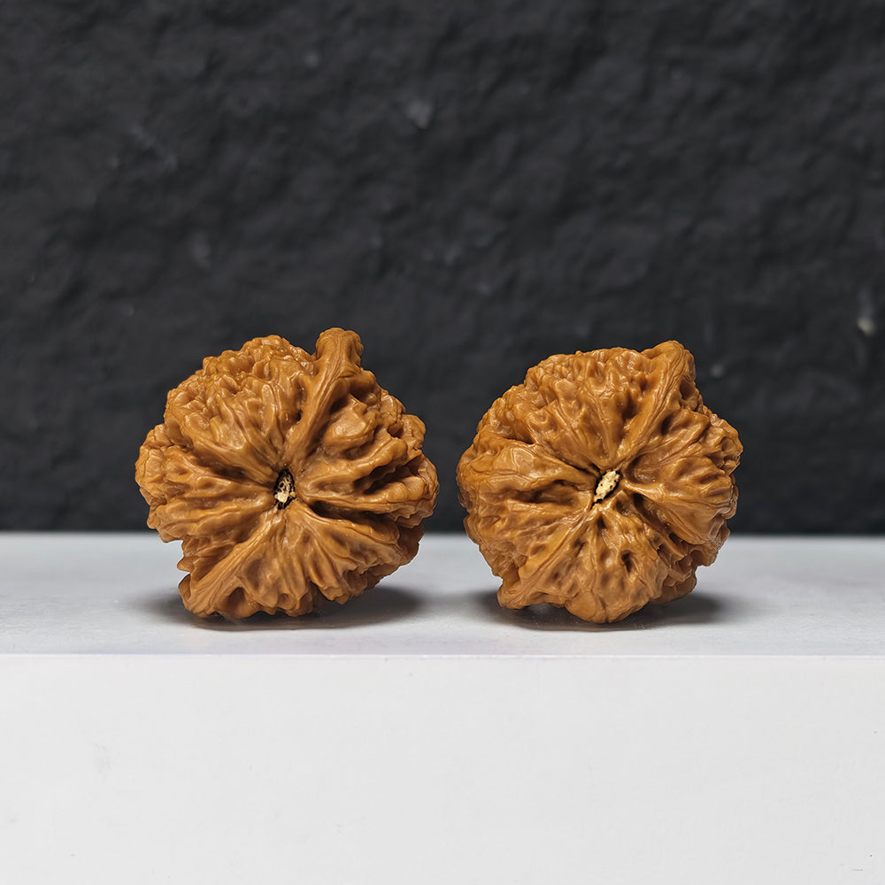 "Rain Flower Stone" Yu Hua Shi Collector Wenwan Walnuts Pair | 37.0mm x 37.0mm | YHS-S-002978