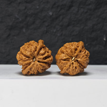 "Rain Flower Stone" Yu Hua Shi Collector Wenwan Walnuts Pair | 37.0mm x 37.0mm | YHS-S-002978