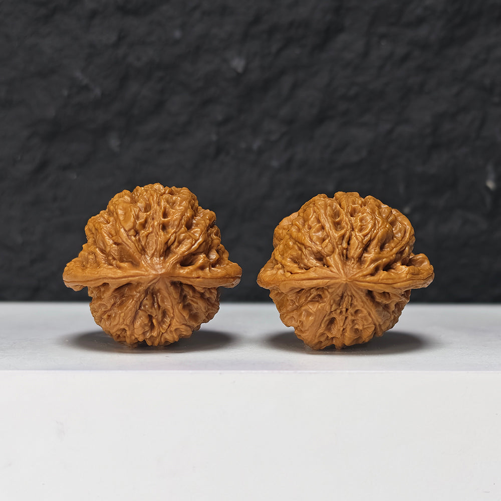 "Rain Flower Stone" Yu Hua Shi Collector Wenwan Walnuts Pair | 37.0mm x 37.0mm | YHS-S-002978