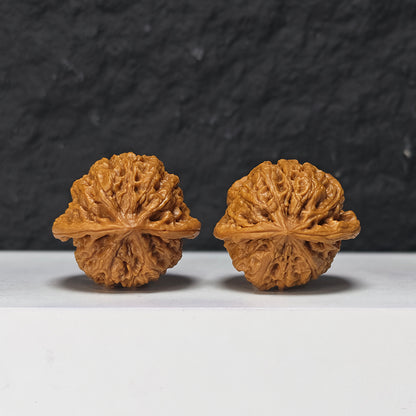 "Rain Flower Stone" Yu Hua Shi Collector Wenwan Walnuts Pair | 37.0mm x 37.0mm | YHS-S-002978