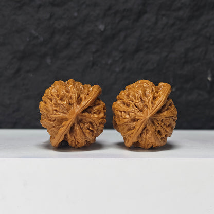 "Rain Flower Stone" Yu Hua Shi Collector Wenwan Walnuts Pair | 37.0mm x 37.0mm | YHS-S-002978