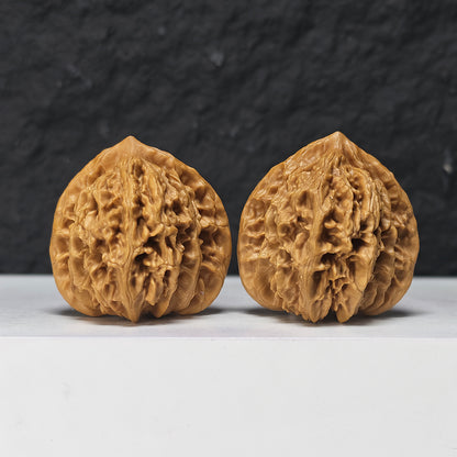 "Peach Heart Coiled Dragon Tiger Head" Tao Xin Pan Long Hu Tou HT-S-004944 Collector Wenwan Walnuts Pair | 41.0mm x 40.0mm | HT-S-004944