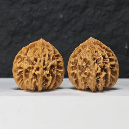 "Peach Heart Coiled Dragon Tiger Head" Tao Xin Pan Long Hu Tou HT-S-004944 Collector Wenwan Walnuts Pair | 41.0mm x 40.0mm | HT-S-004944
