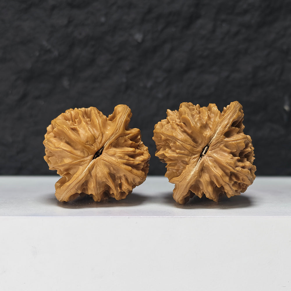 "Peach Heart Coiled Dragon Tiger Head" Tao Xin Pan Long Hu Tou HT-S-004944 Collector Wenwan Walnuts Pair | 41.0mm x 40.0mm | HT-S-004944