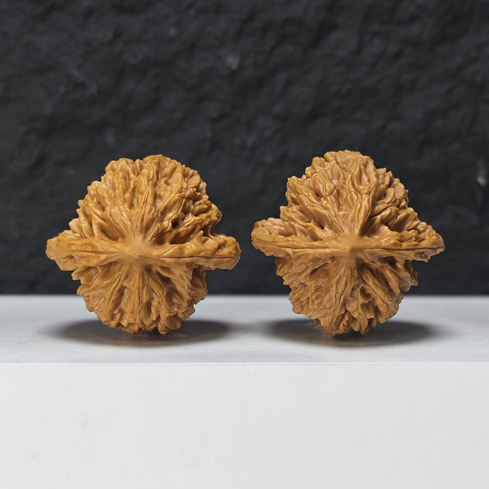 "Peach Heart Coiled Dragon Tiger Head" Tao Xin Pan Long Hu Tou HT-S-004944 Collector Wenwan Walnuts Pair | 41.0mm x 40.0mm | HT-S-004944